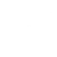 The British School of Excellence crest